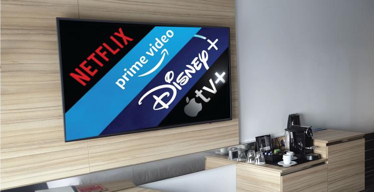 The Future of TV System in Hotels and Motels